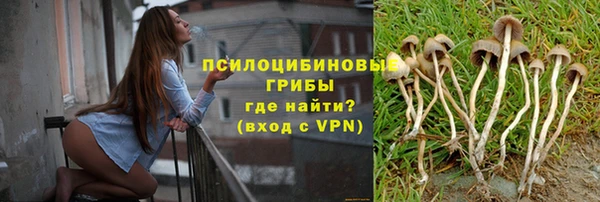 мескалин Арсеньев